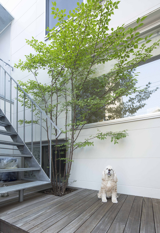 光と風を共有する家エントランステラス