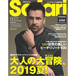 safari19.08号